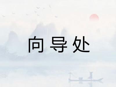 向导处