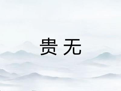 贵无