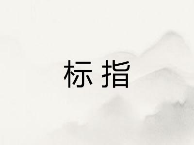 标指
