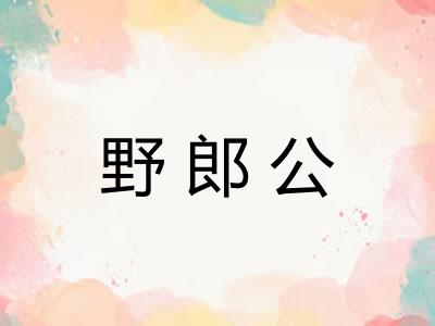 野郎公 野郎公