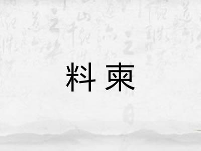 料柬
