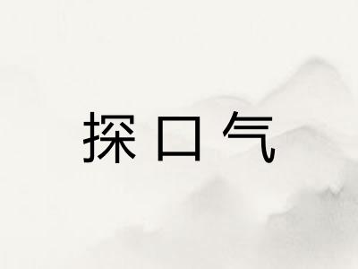 探口气