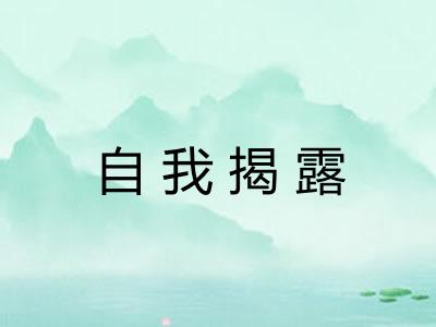 自我揭露
