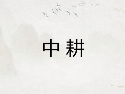 中耕