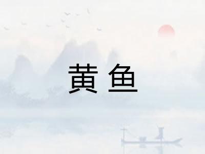 黄鱼 黄鱼