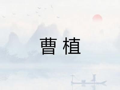 曹植 曹植
