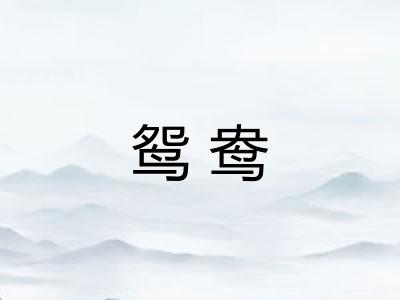 鸳鸯