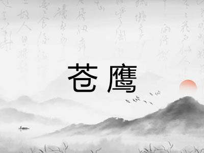 苍鹰 苍鹰
