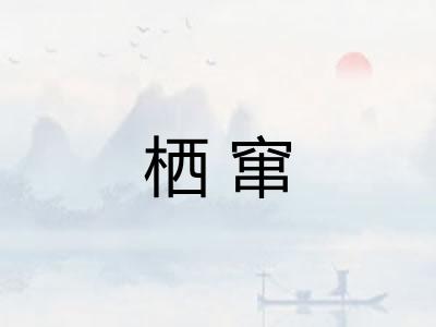 栖窜