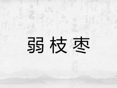 弱枝枣