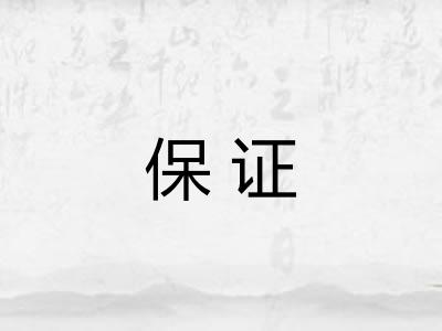 保证 保证