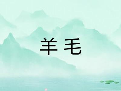 羊毛 羊毛