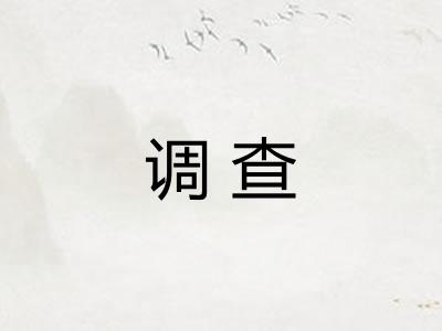 调查