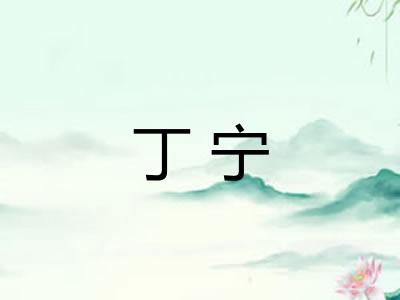 丁宁