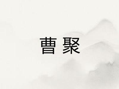 曹聚