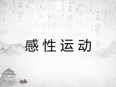 感性运动