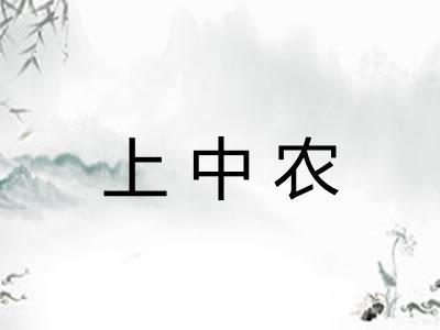 上中农