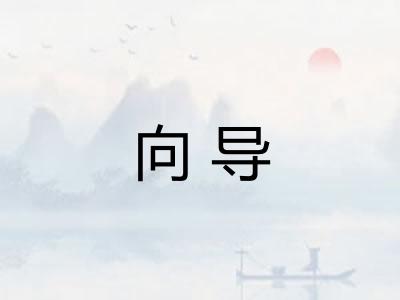 向导