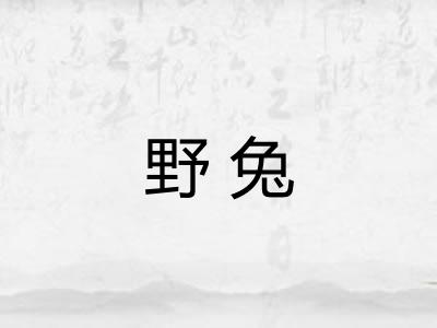 野兔 野兔