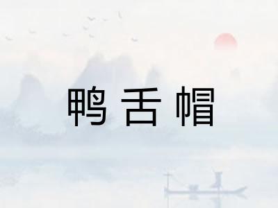 鸭舌帽 鸭舌帽