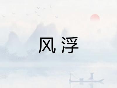 风浮