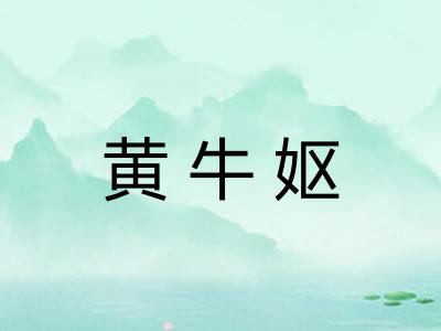 黄牛妪