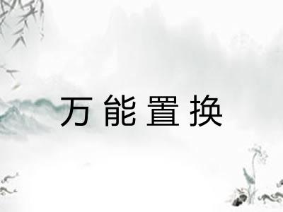 万能置换