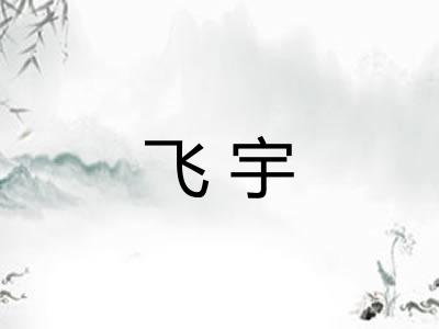 飞宇