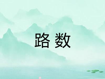 路数