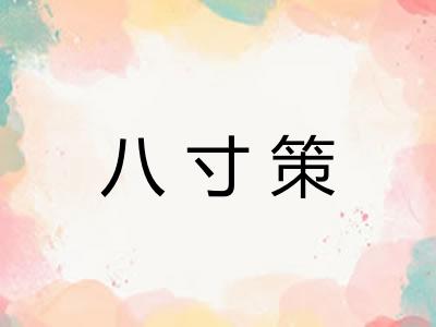 八寸策