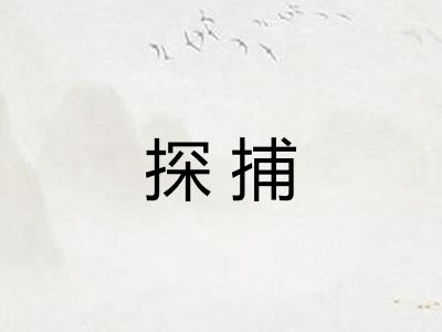 探捕