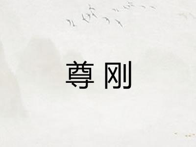 尊刚