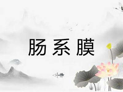 肠系膜