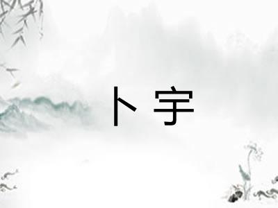 卜宇