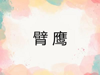 臂鹰