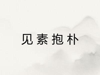 见素抱朴 见素抱朴