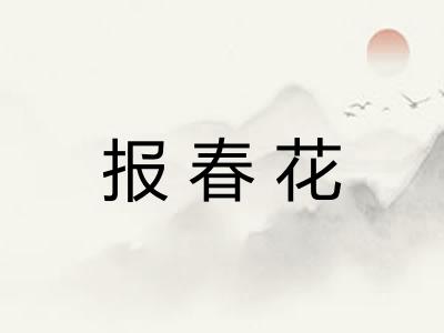 报春花 报春花