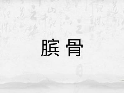 膑骨 膑骨