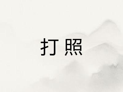 打照 打照