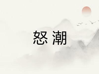 怒潮