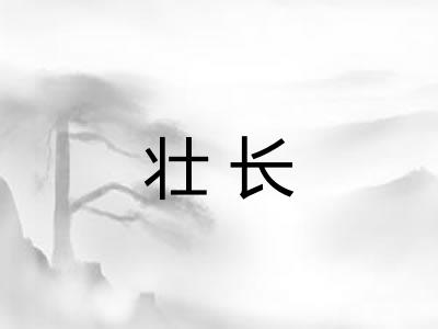 壮长 壮长