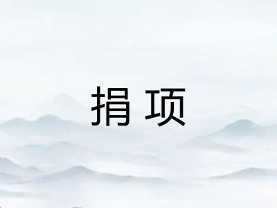 捐项