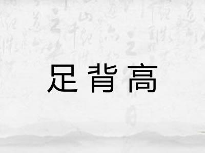 足背高 足背高