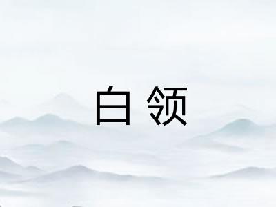 白领 白领