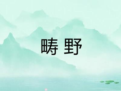 畴野
