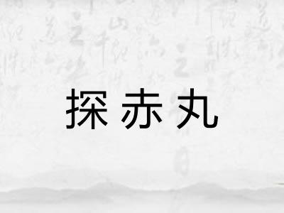 探赤丸