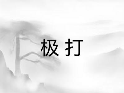 极打