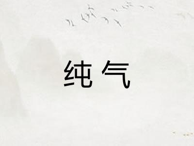 纯气 纯气