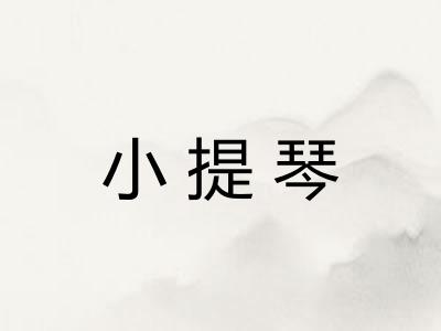 小提琴 小提琴