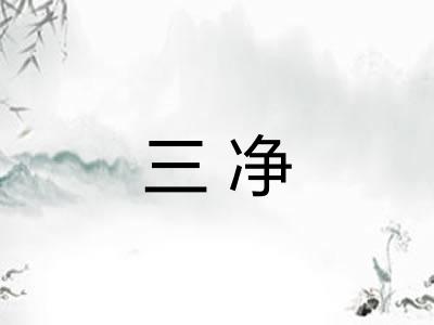 三净